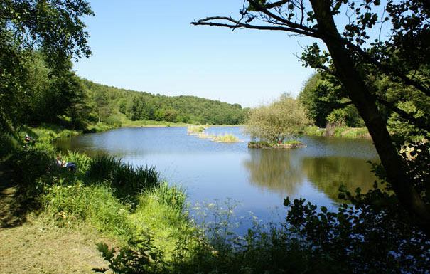 great-pond-thumb