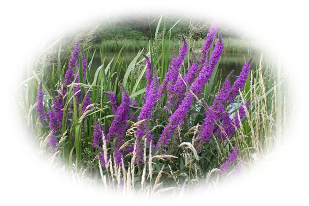 john-baker-history-02