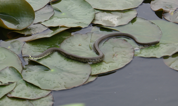 john-baker-history-11